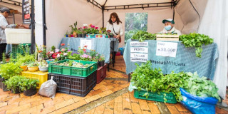 Mercado en Bogotá con los Mercados Campesinos 24 y 25 de agosto 2024