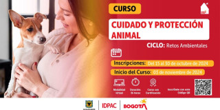 Cursos gratuitos IDPAC