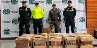 Video: Seguridad en Bogotá, incautados en El Dorodo 240 kilos de marihuana 