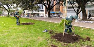 Las Aguas de Bogotá recibe regalos verdes en el preludio de la Navidad