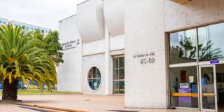 Horario Navidad en Red de Bibliotecas Públicas de Bogotá