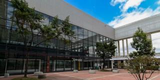 Descubre cómo inscribirte a prácticas libres de los CEFES en Bogotá 