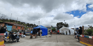 Acciones para bienestar y protección de animales de compañía en Bogotá