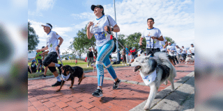 Carrera Canicross en Festival de Verano parque Tunal este 3 de agosto