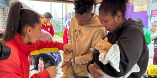Jornada de Médico Veterinaria para perros y gatos en Bogotá 18 julio