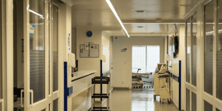 Bogotá se une al Día Mundial del Dengue con un llamado a la prevención