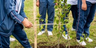 Jardín Botánico Bogotá plantó 200 árboles nativos en localidad de Bosa