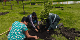 Torneo Copa 70 Años Bosques Urbanos 2025 en parque El Tunal Bogotá
