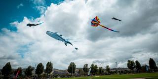 Así se vivió el Festival de Cometas parque El Tunal 10 de agosto 2025