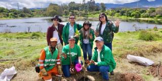 Restauración del humedal El Tunjo Bogotá con plantación de 80 árboles