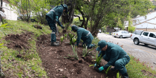 Bogotá mejora los Jardines del Refugio Alto y el resplandor florece
