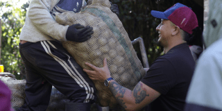 En Soacha la Región Metropolitana entregó más de 250 raciones de papa