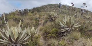 Listado admitidos en la Escuela de Responsabilidad Social y Ambiental 