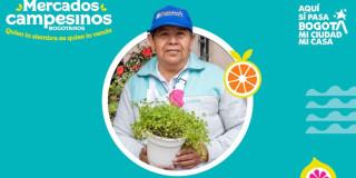 Planes Bogota compra en Mercados Campesinos 16 y 17 de agosto 2025