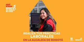 Prácticas laborales en la Alcaldía de Bogotá 360 cupos en 25 entidades en 2025