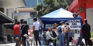 Punto de vacunación para mascotas en Corferias Expopet Bogotá 2025
