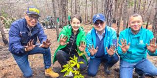 Culmina siembra de árboles nativos en Cerro El Cable de Bogotá