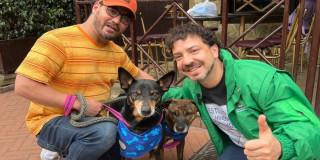 13 animales encontraron nuevo hogar jornada adopción Theatrón Bogotá septiembre 2025