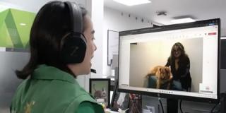 Bogotá servicio gratuito teleorientación veterinaria con Televet