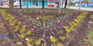Bogotá se embelleció con maravillas florales en el Rafael Uribe Uribe
