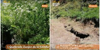 Jornada de limpieza Quebrada Zanjón de La Estrella en Ciudad Bolívar 