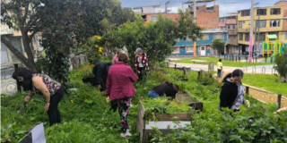 Conoce la huerta urbana Huerta María Cano en Ciudad Bolívar de Bogotá