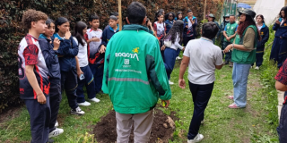 Personas sembrando árboles en la localidad