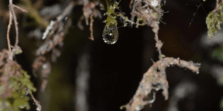 Imagen de una gota de agua