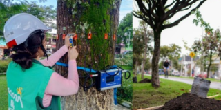 Imagen de funcionaria ejerciendo su profesión 