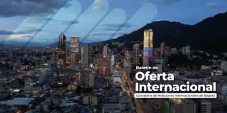 Imagen oficial del boletín de Oferta Internacional 