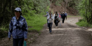 Imagen de personas en una caminata por un sendero ecológico.