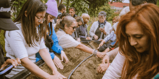 Imagen de personas sembrando semillas