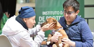 Foto de dos personas cuidadno de un perro en Bogotá