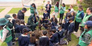 Foto del Colegio Alfonso Reyes Echandía en Bogotá durante la plantación de 49 nuevos árboles