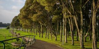Foto del parque Simón Bolívar de Bogotá y sus senderos peatonales rodeados de árboles.