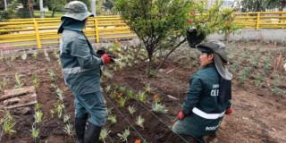 Foto de las labores de revonación de las materas de la avenida NQS con calle 26 en Bogotá