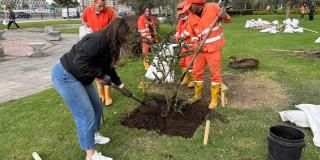 Personas de la Alcaldía Local y de Aguas de Bogotá sembrando árboles 