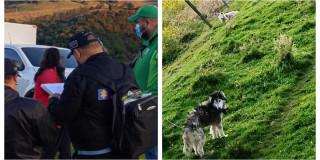 Foto de las autoridades en un operativo en un criadero ilegal en Ciudad Bolívar