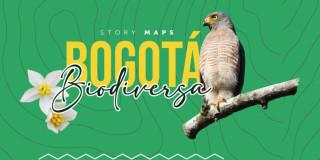 Pieza gráfica de Bogotá Biodiversa: estrategia para conocer la Estructura Ecológica Principal