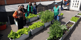 Imagen de esudiantes sembrando en la huerta.