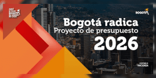 Pieza gráfica indicando el proyecto de presupuesto