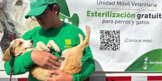 Un señor del IDPYBA alzando un perro que acabaron de esterilizar 