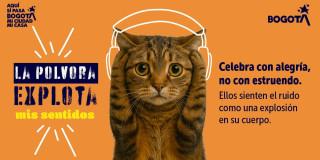 Pieza gráfica invitando a proteger a los animales de pólvora