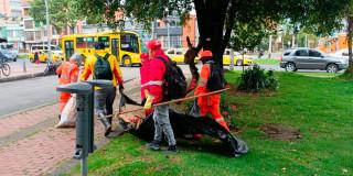 Foto que muestra personas recolectando residuos en un parque