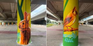 Fotos de grafitis que embellecen los bajo puentes en calle 26 con carrera 68 en Bogotá.