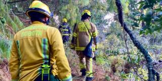 Foto de bomberos caminando por una zona verde.
