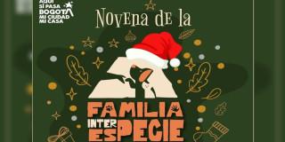 Pieza gráfica de Novenas Familiares Interespecie