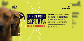 Pieza gráfica invitando a proteger a los animales de pólvora