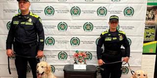 En la foto dos policías con dos caninos y la droga incautada