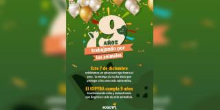 Pieza gráfica del cumpleaños número nueve del IDPYBA. 